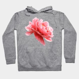 Pink flower of peony Hoodie